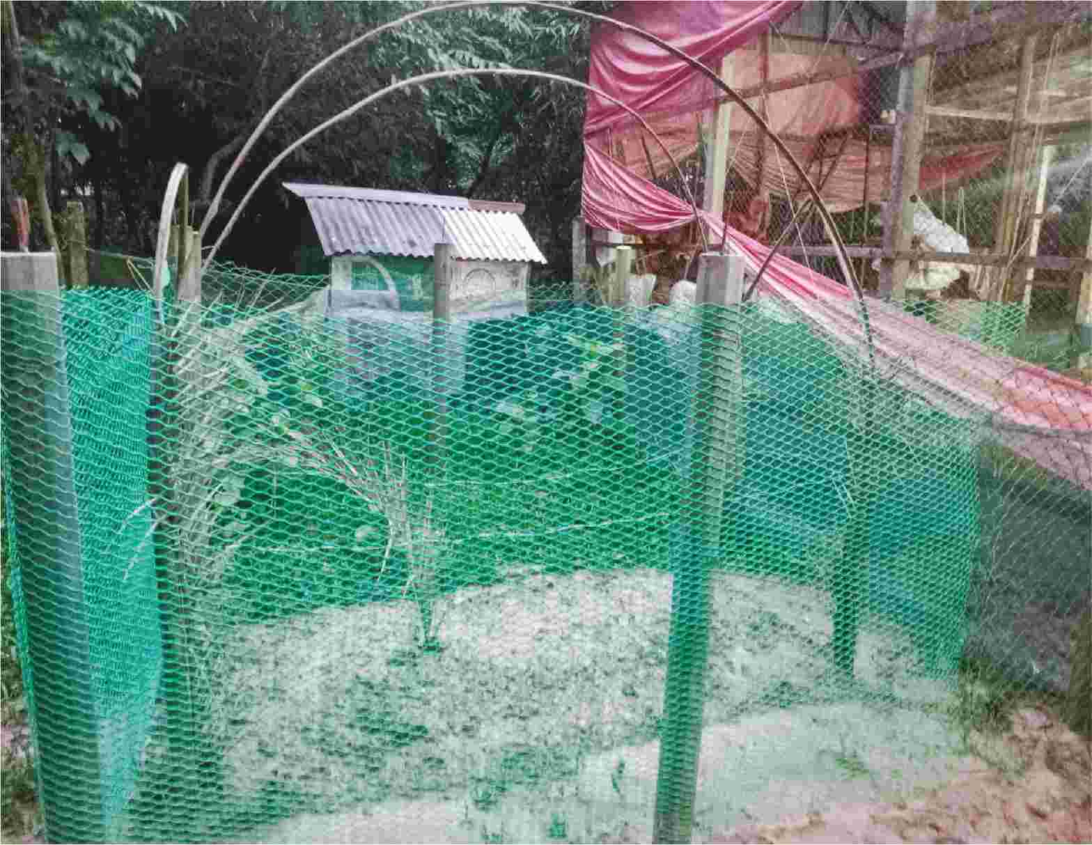 Image of তোফাজ্জল হোসেন খান